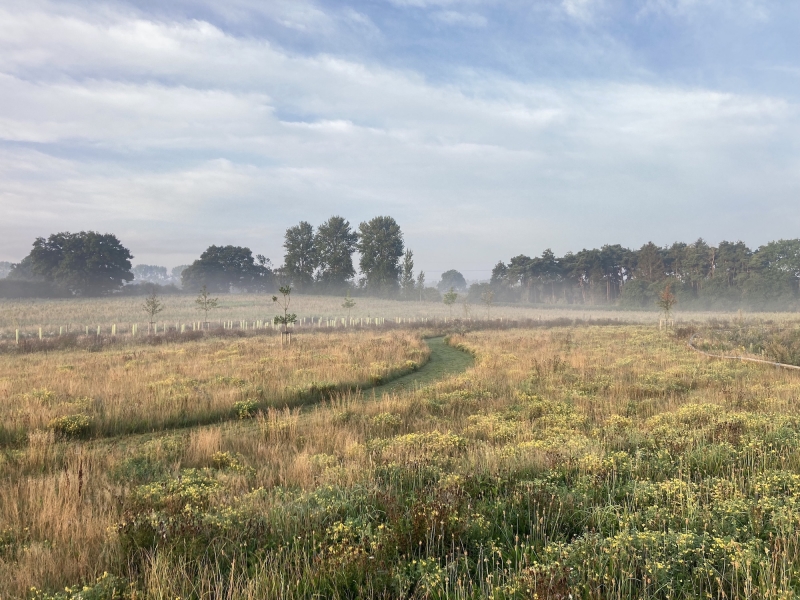 Priscilla Bacon Lodge Gardens